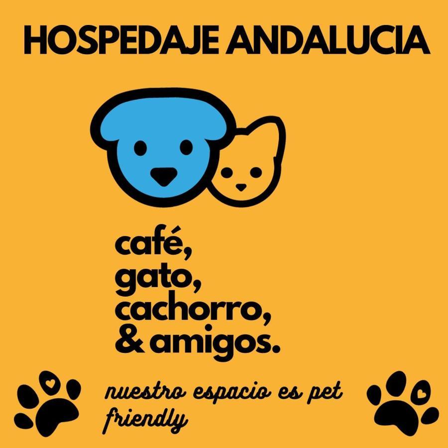 Casa Andalucia Albergue Florianópolis Exterior foto